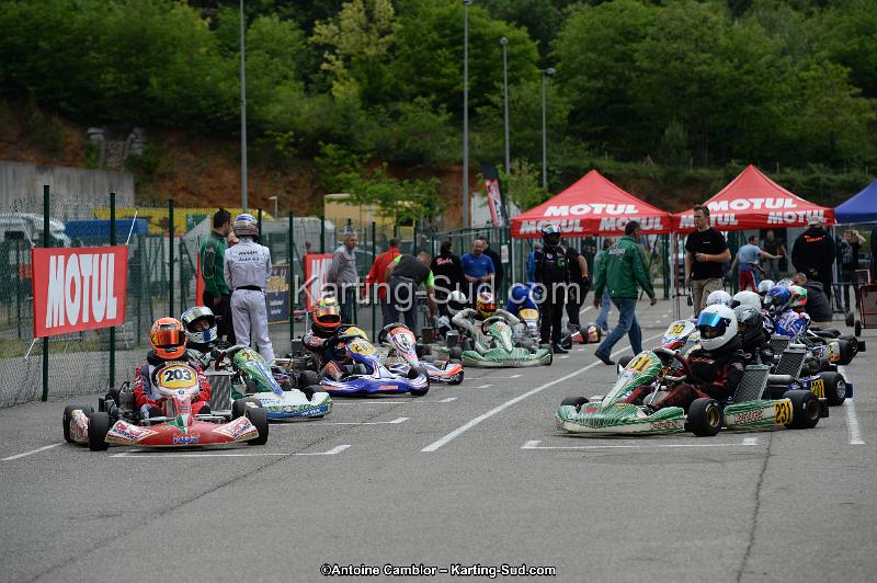 DSC_3528.jpg