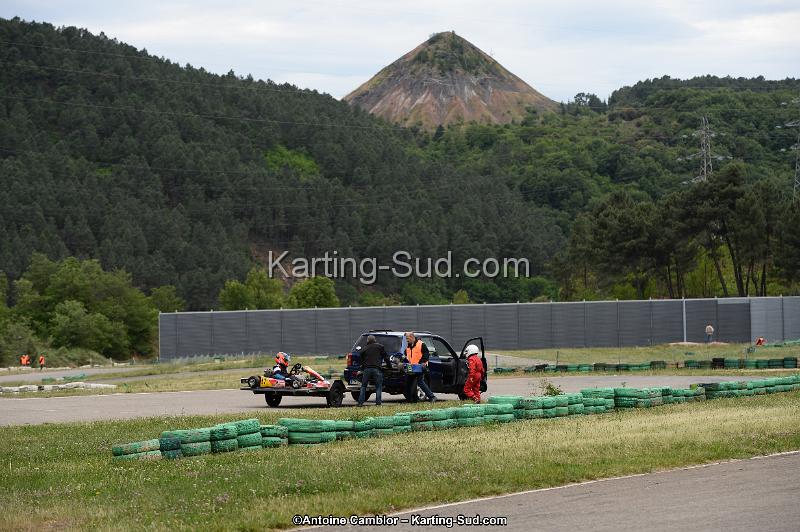 DSC_3532.jpg
