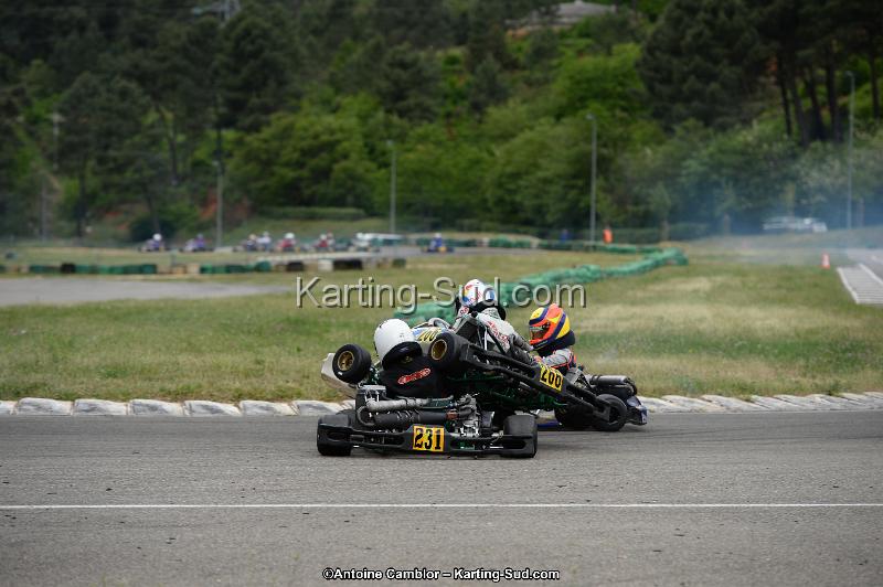 DSC_3542.jpg