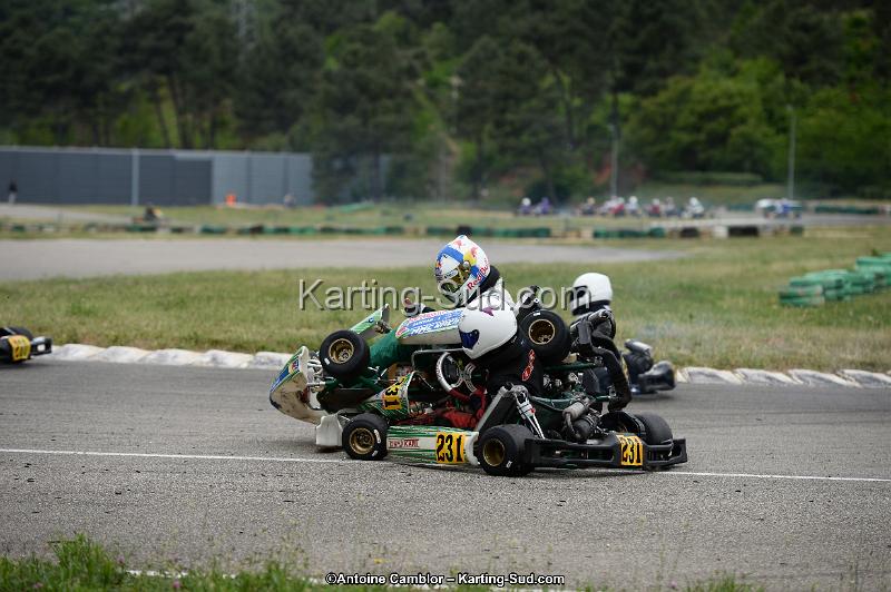 DSC_3547.jpg