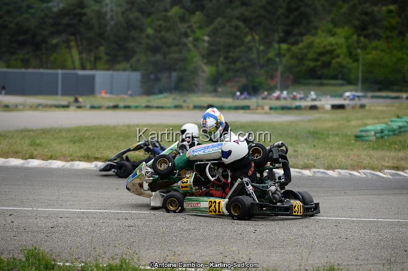 DSC_3548.jpg