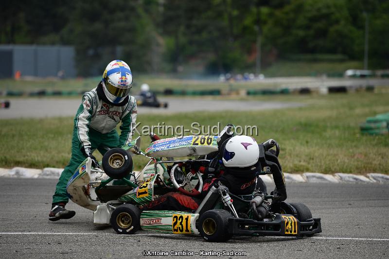 DSC_3555.jpg