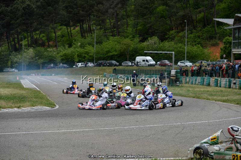 DSC_3575.jpg