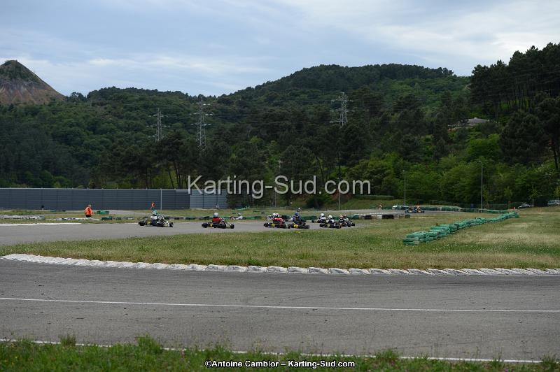 DSC_3594.jpg