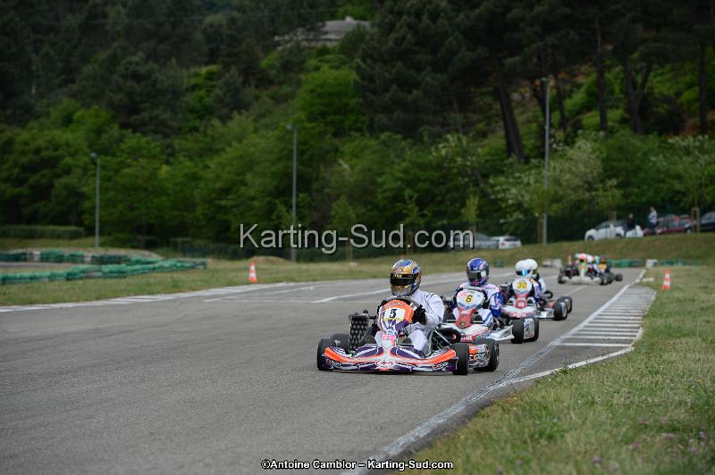 DSC_3613.jpg