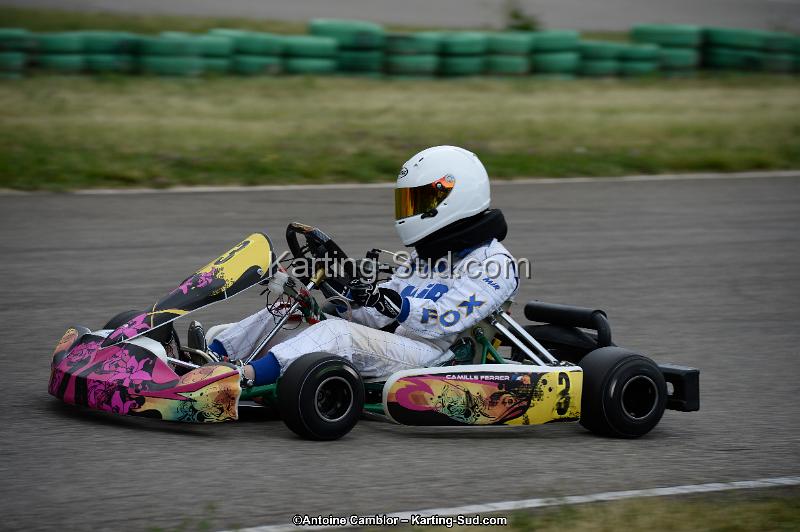 DSC_3661.jpg