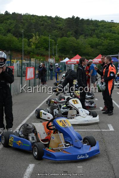 DSC_3668.jpg