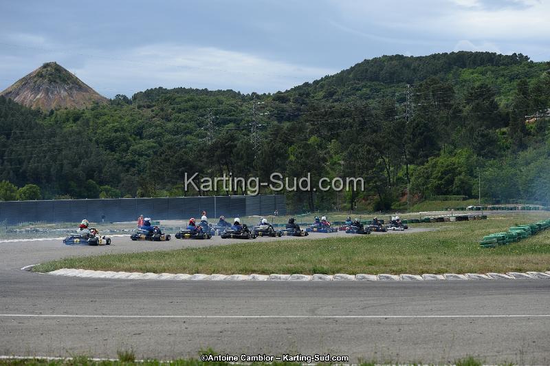 DSC_3690.jpg