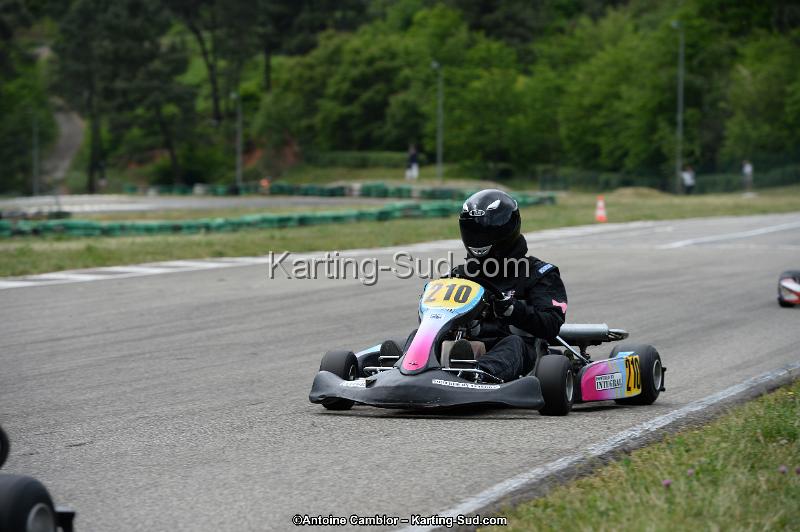 DSC_3732.jpg