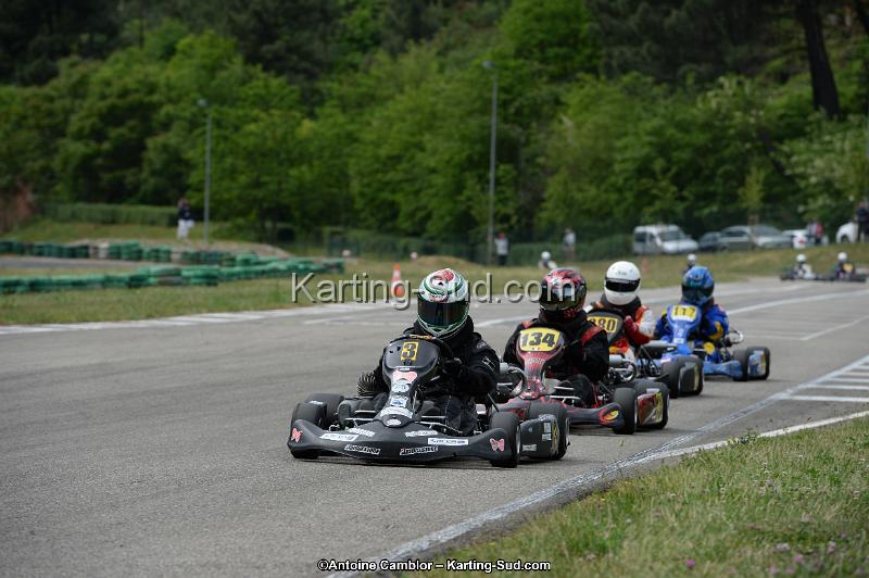 DSC_3741.jpg