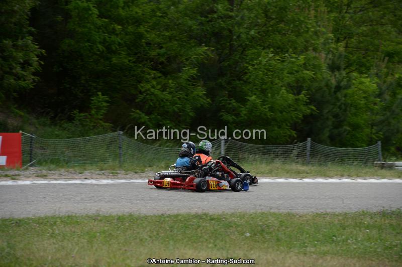 DSC_3767.jpg