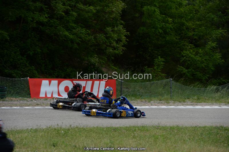 DSC_3773.jpg
