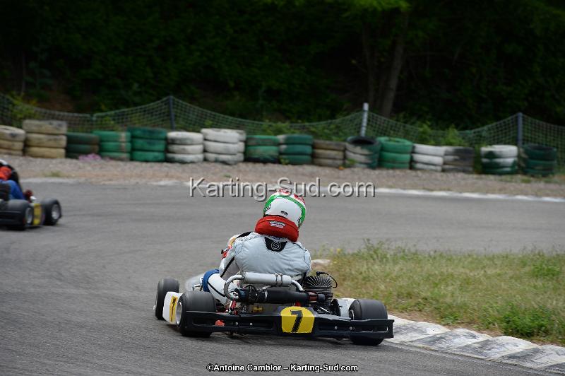 DSC_3778.jpg