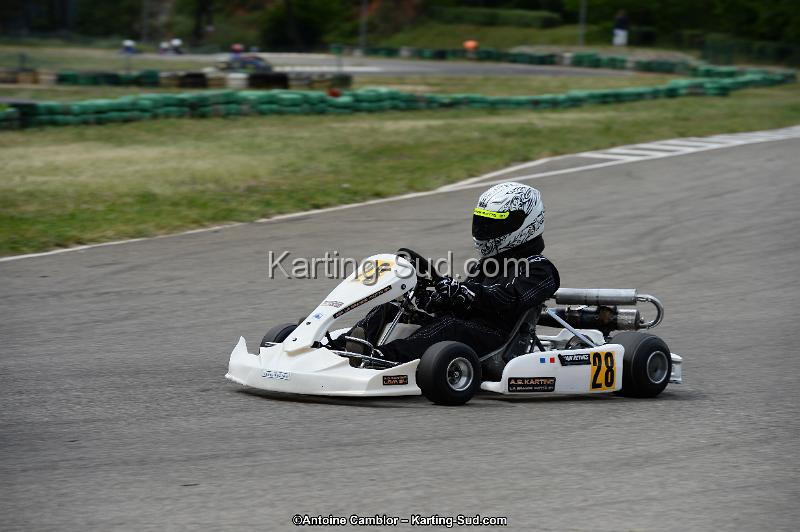 DSC_3781.jpg