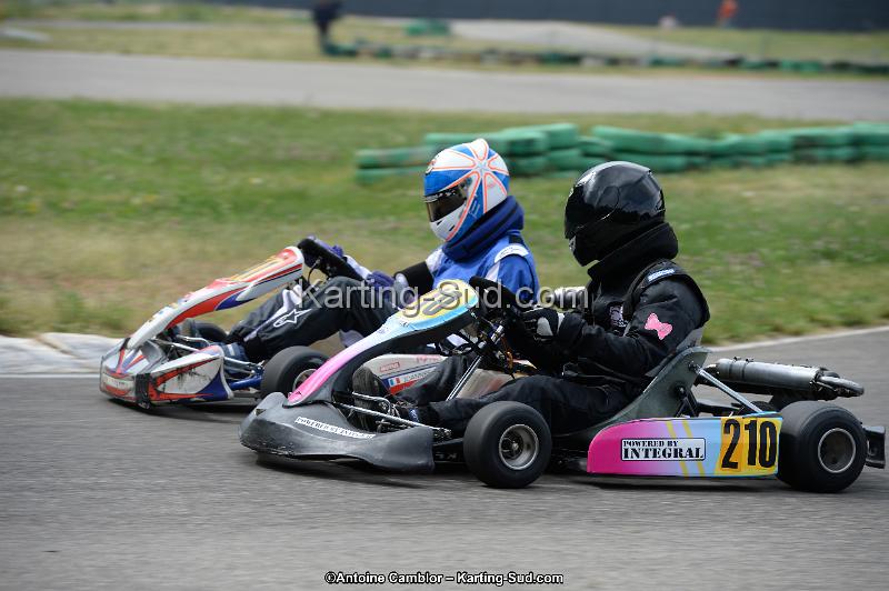 DSC_3788.jpg
