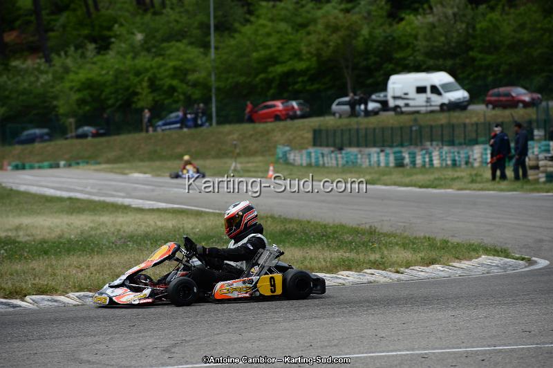 DSC_3895.jpg
