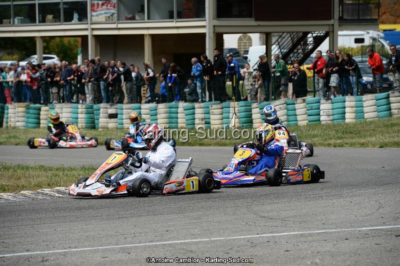 DSC_3923.jpg