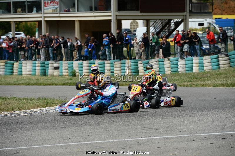 DSC_3924.jpg