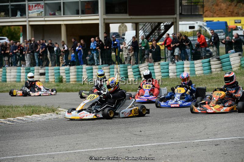 DSC_3928.jpg