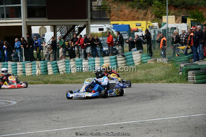 DSC_3937.jpg