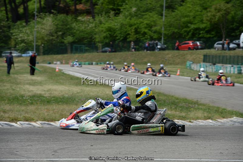 DSC_3945.jpg