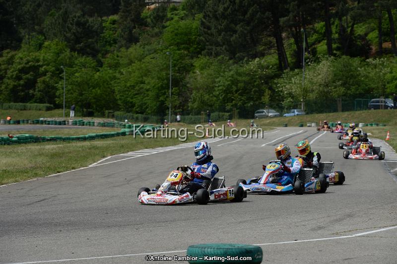 DSC_3955.jpg
