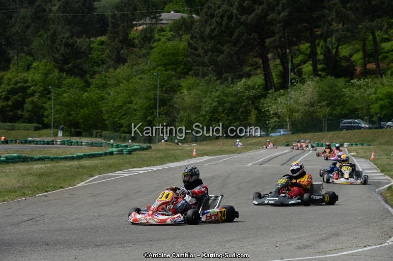 DSC_3956.jpg