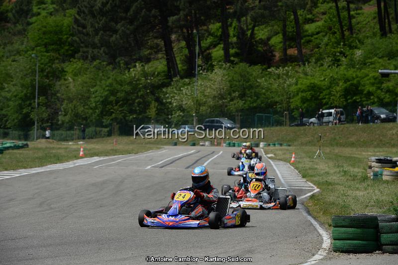 DSC_3962.jpg