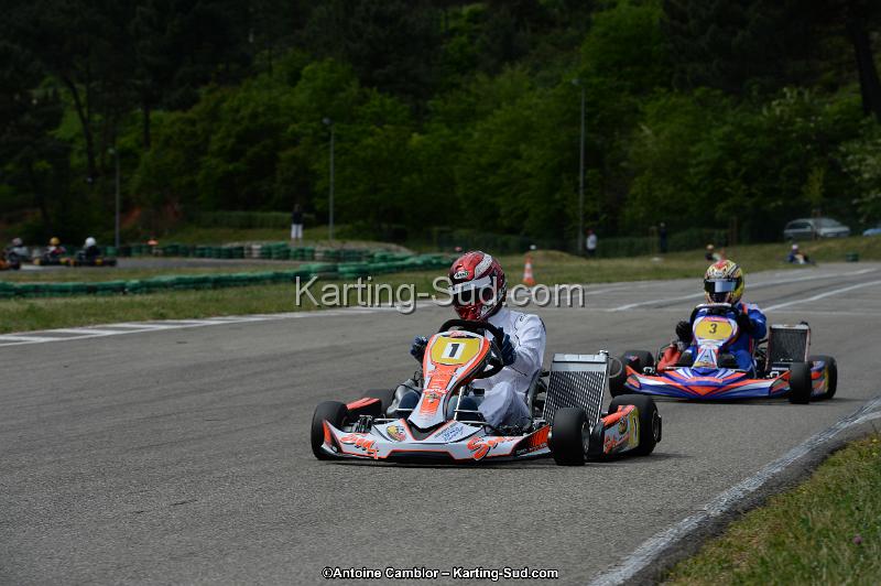 DSC_3965.jpg