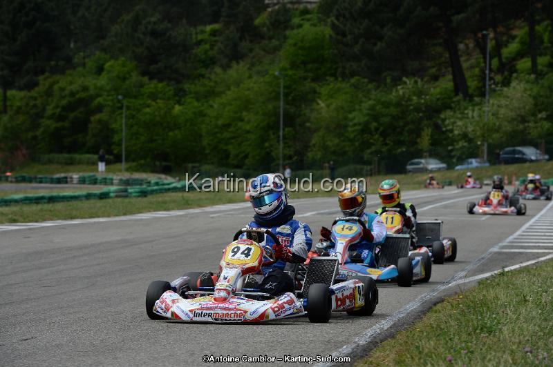DSC_3966.jpg