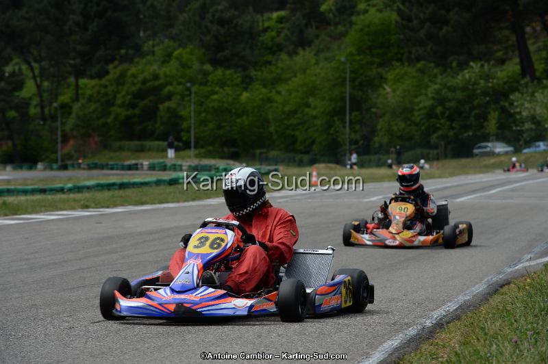 DSC_3971.jpg