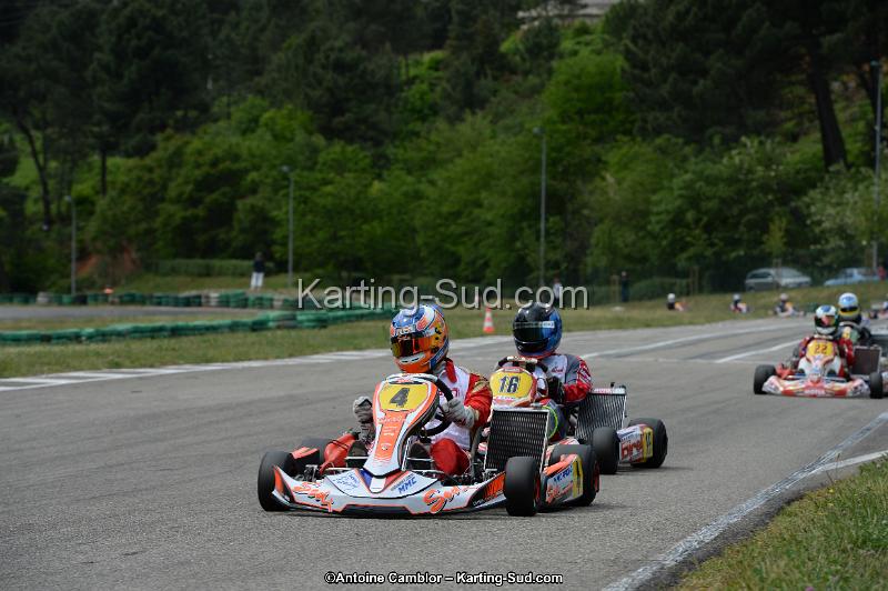 DSC_3973.jpg