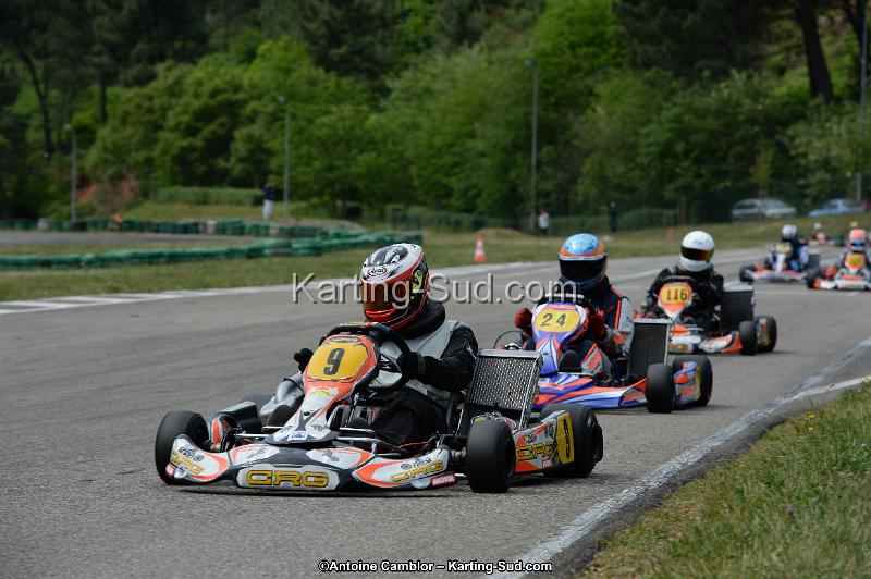 DSC_3979.jpg