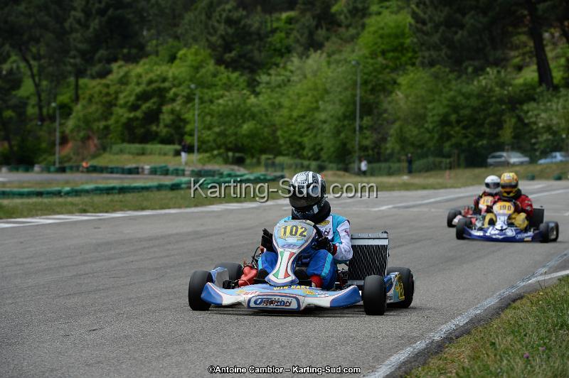 DSC_3981.jpg
