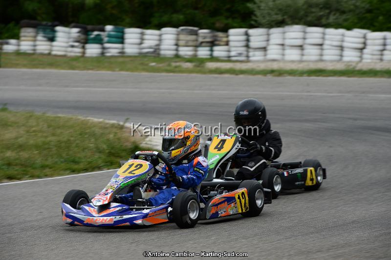 DSC_4298.jpg