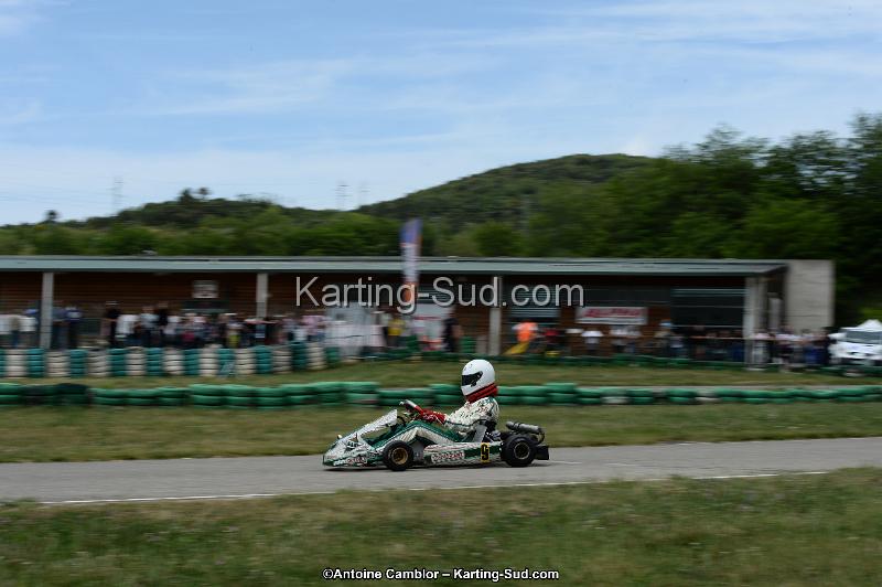 DSC_4469.jpg