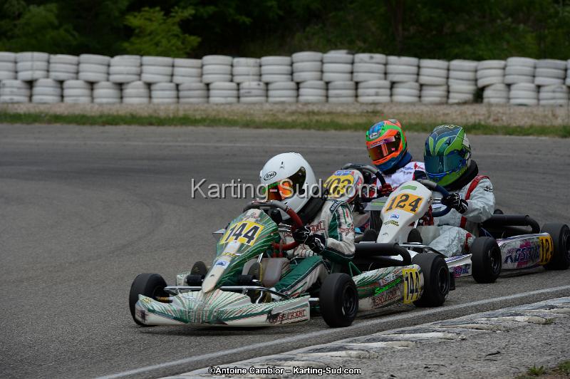 DSC_4531.jpg