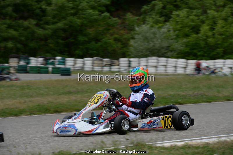 DSC_4538.jpg