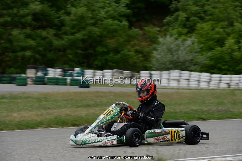 DSC_4540.jpg