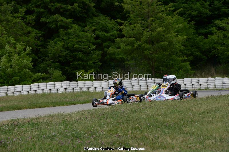 DSC_4548.jpg