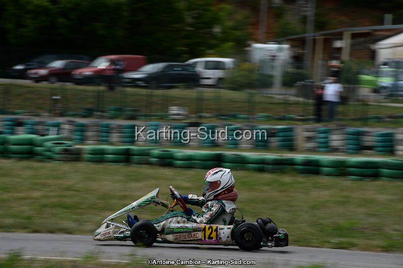 DSC_4610.jpg