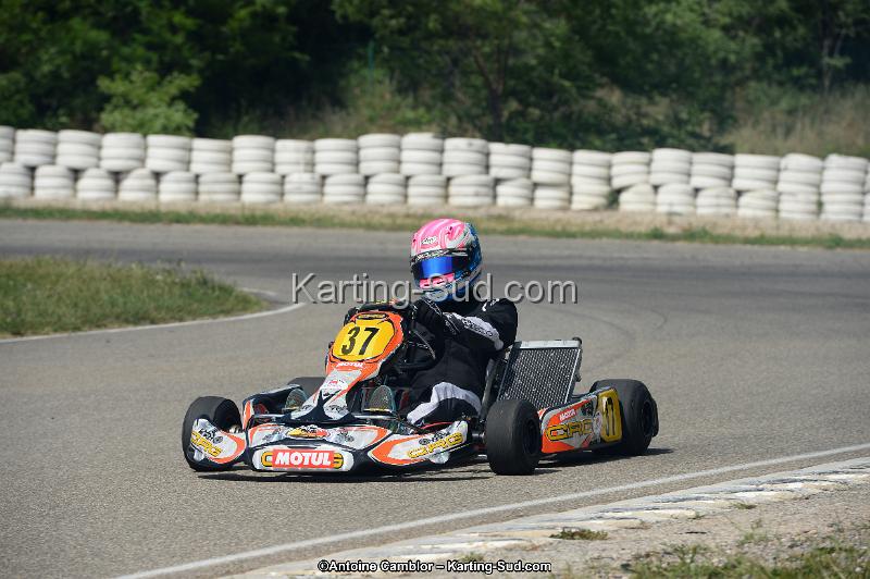 DSC_5203.jpg