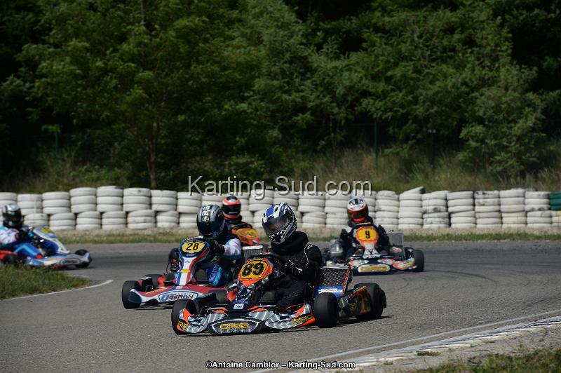 DSC_5242.jpg