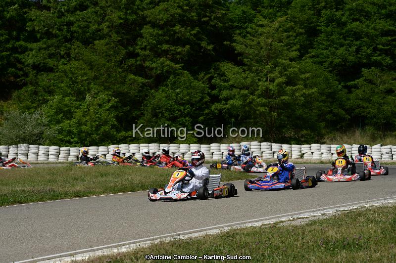 DSC_5252.jpg