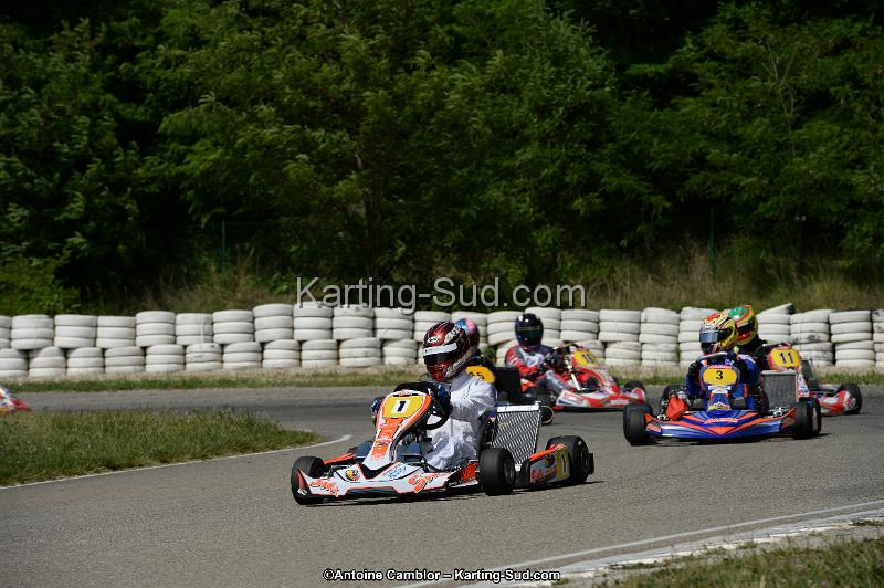 DSC_5260.jpg