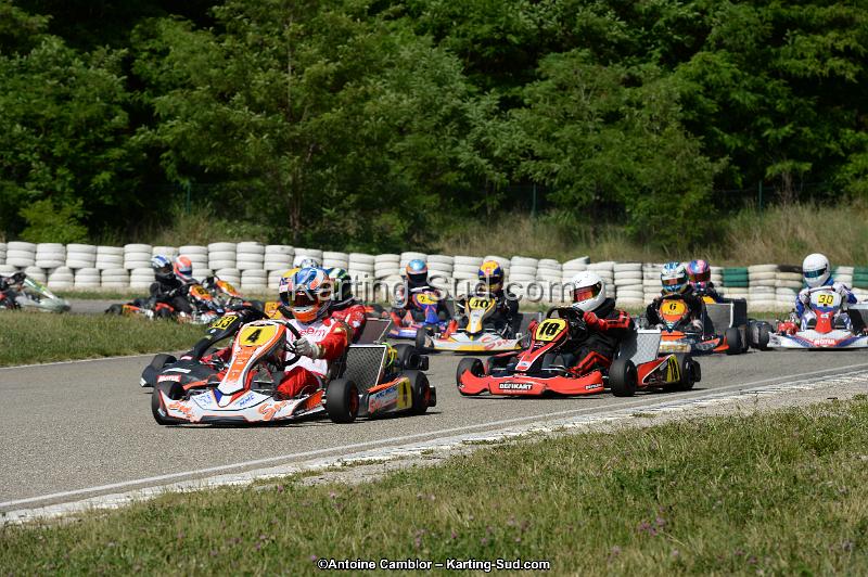 DSC_5275.jpg
