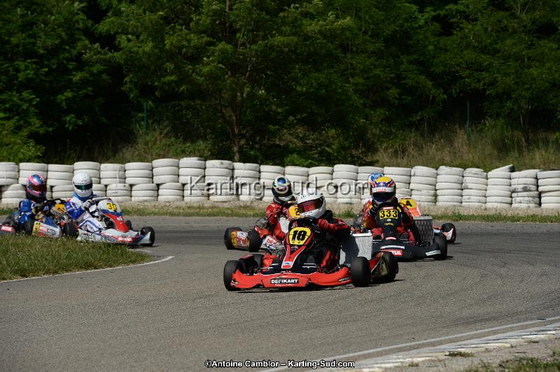 DSC_5296.jpg