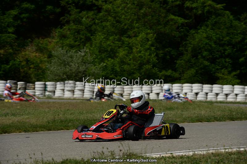 DSC_5335.jpg