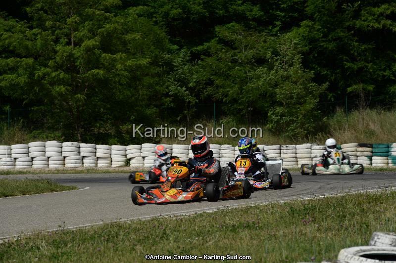 DSC_5341.jpg