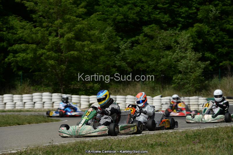 DSC_5342.jpg